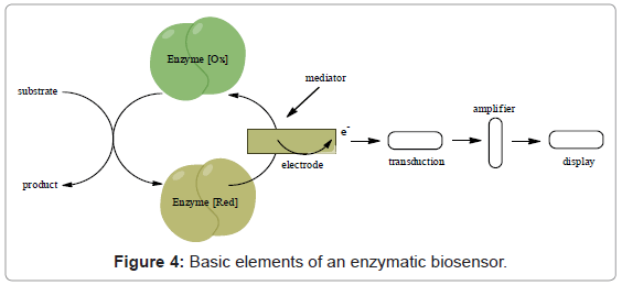 analytical-bioanalytical-techniques-elements-enzymatic-biosensor
