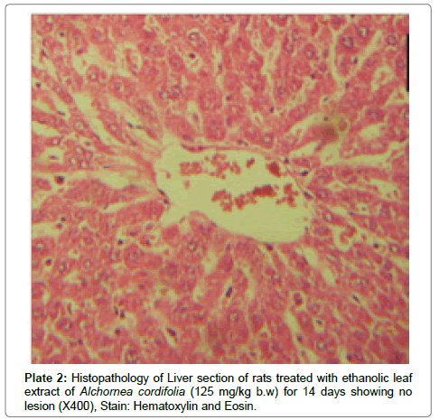 analytical-bioanalytical-techniques-ethanolic-leaf