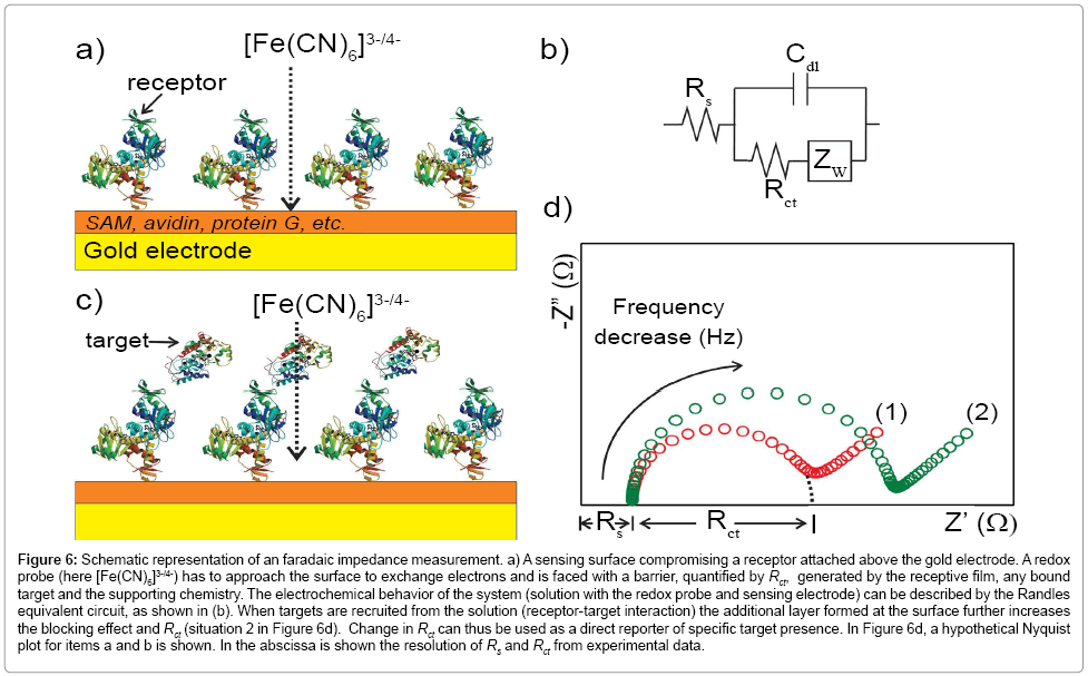 analytical-bioanalytical-techniques-faradaic-impedance