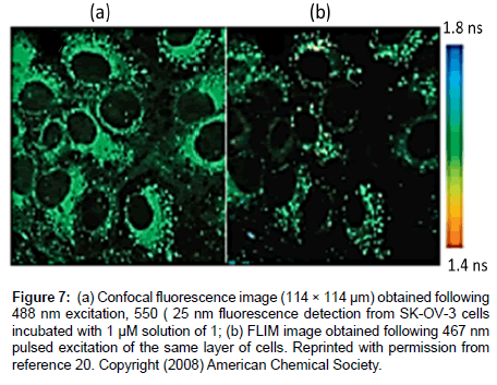 analytical-bioanalytical-techniques-fluorescence-image