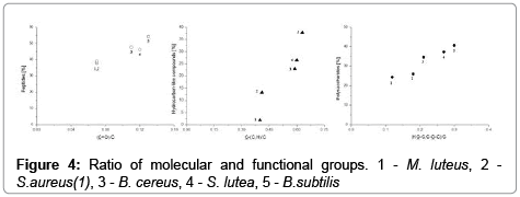 analytical-bioanalytical-techniques-functional-groups