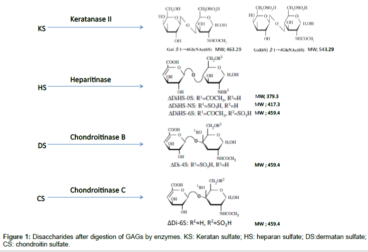 analytical-bioanalytical-techniques-heparan-sulfate