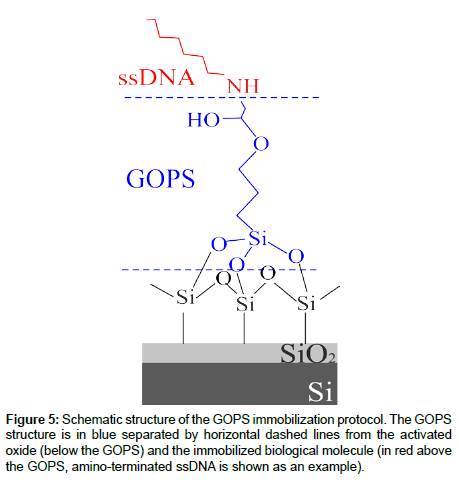 analytical-bioanalytical-techniques-horizontal-dashed