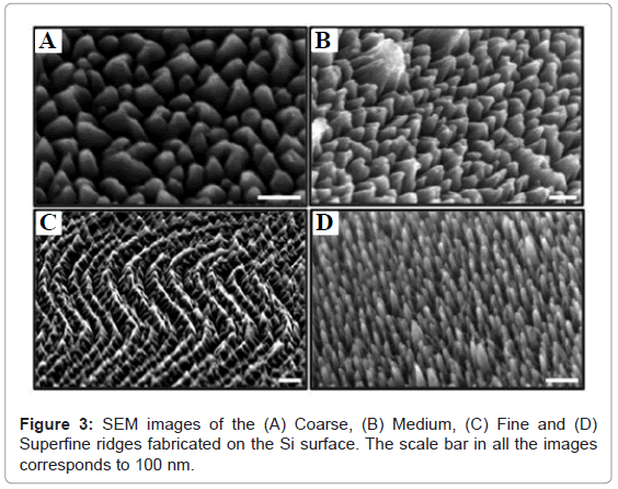 analytical-bioanalytical-techniques-images-Coarse-fabricated