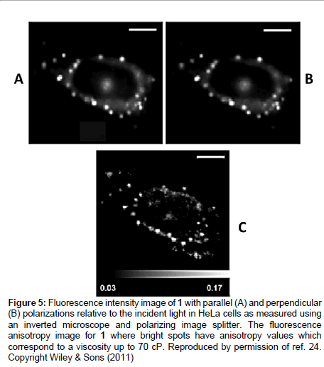 analytical-bioanalytical-techniques-intensity-image