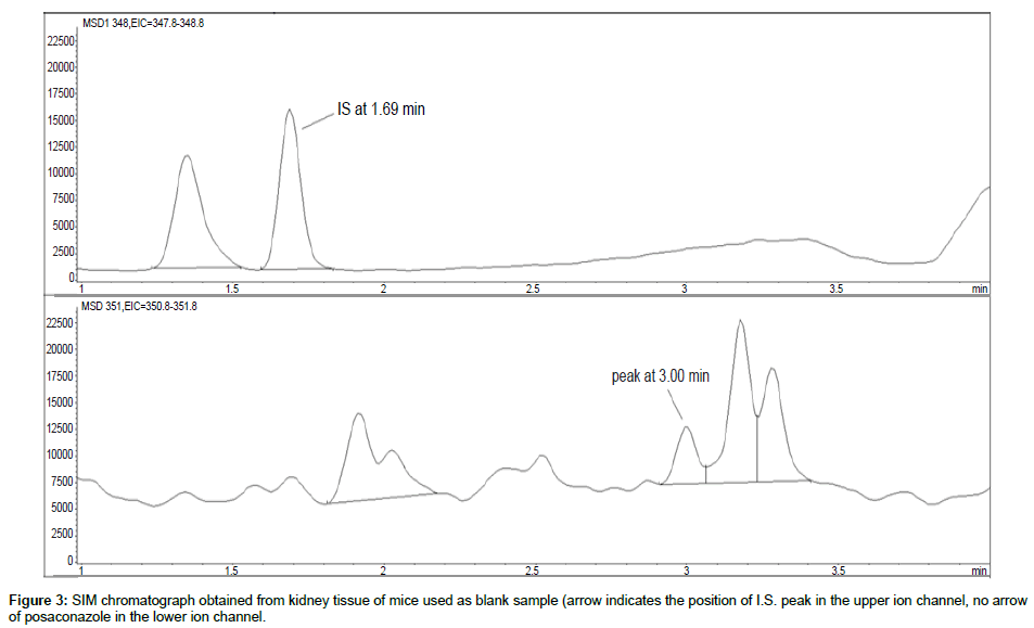 analytical-bioanalytical-techniques-kidney-tissue