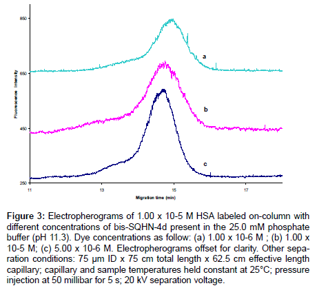 analytical-bioanalytical-techniques-labeled-on-column