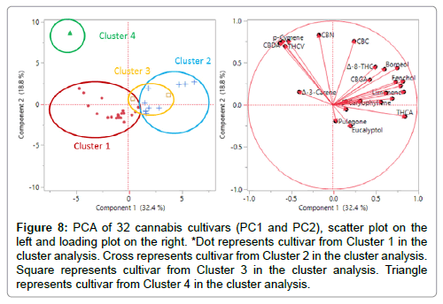 analytical-bioanalytical-techniques-loading-plot-right