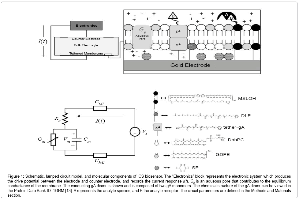 analytical-bioanalytical-techniques-lumped-circuit
