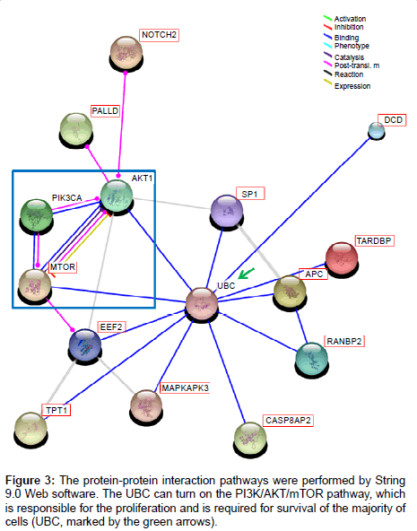 analytical-bioanalytical-techniques-majority-cells