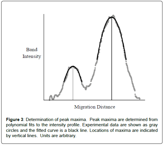 analytical-bioanalytical-techniques-maxima-polynomial-intensity
