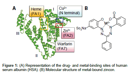 analytical-bioanalytical-techniques-metal-binding-sites