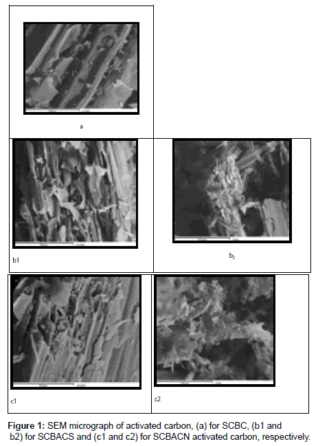 analytical-bioanalytical-techniques-micrograph
