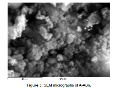 analytical-bioanalytical-techniques-micrographs