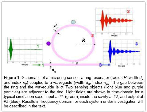 analytical-bioanalytical-techniques-microring-sensor