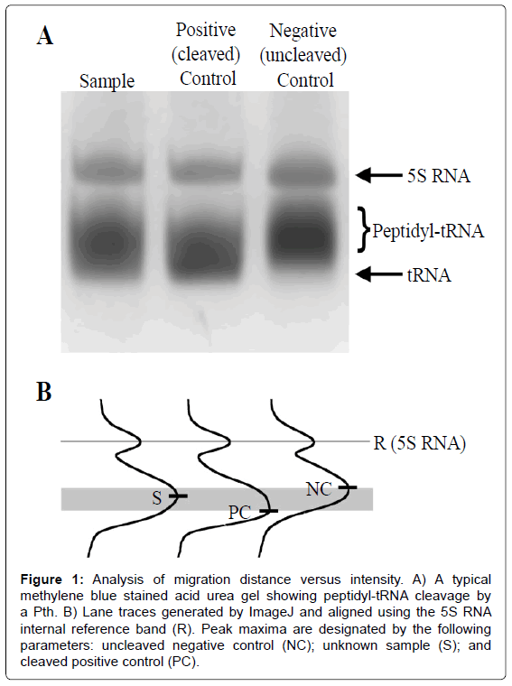 analytical-bioanalytical-techniques-migration-versus-intensity