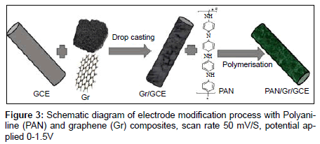 analytical-bioanalytical-techniques-modification-process