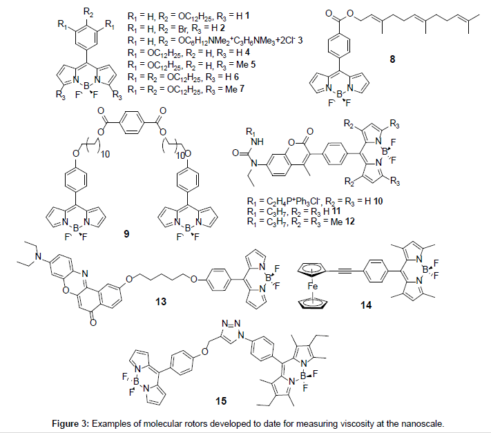 analytical-bioanalytical-techniques-molecular-rotors