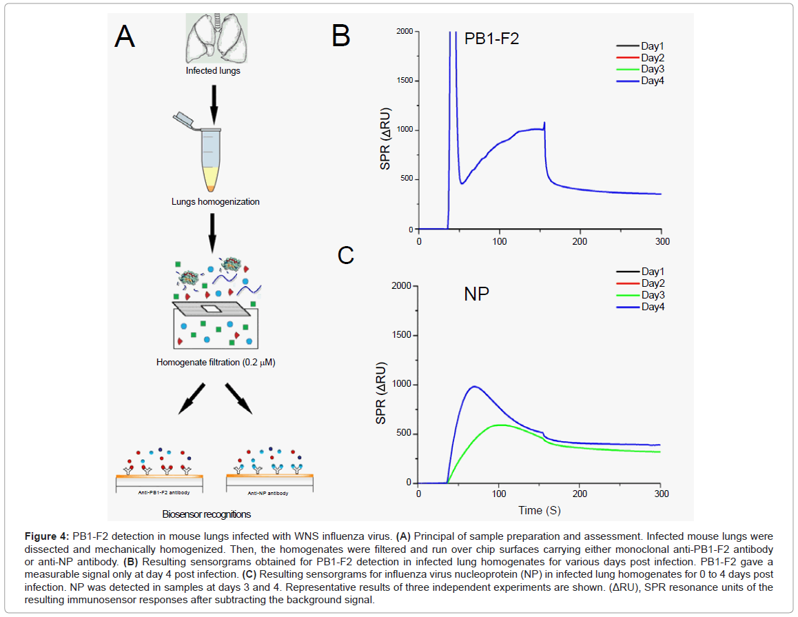 analytical-bioanalytical-techniques-mouse-infected-influenza