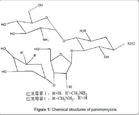 analytical-bioanalytical-techniques-paromomycins