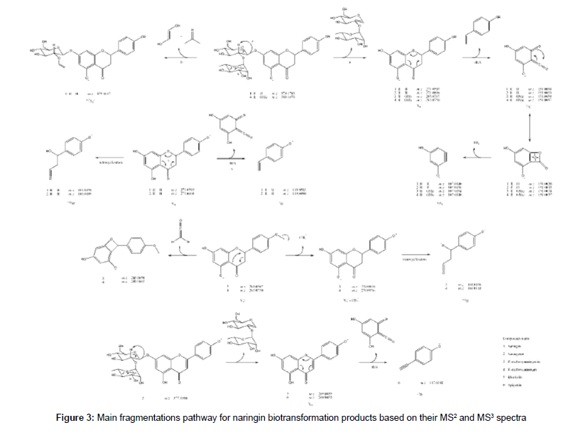 analytical-bioanalytical-techniques-pathway-naringin