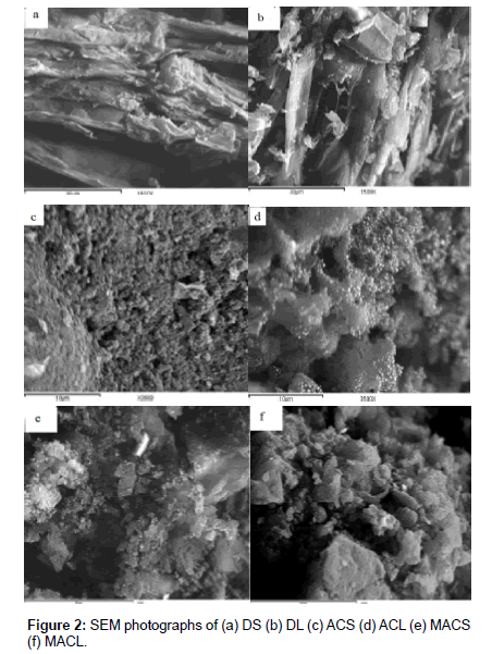 analytical-bioanalytical-techniques-photographs