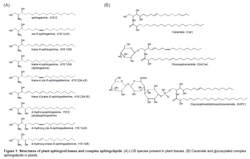 analytical-bioanalytical-techniques-plant-sphingoid