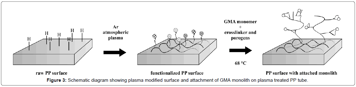 analytical-bioanalytical-techniques-plasma-monolith-treated