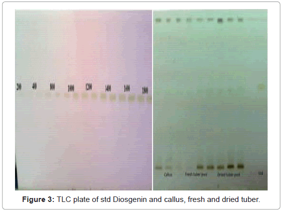 analytical-bioanalytical-techniques-plate-Diosgenin-callus