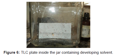 analytical-bioanalytical-techniques-plate-developing-solvent