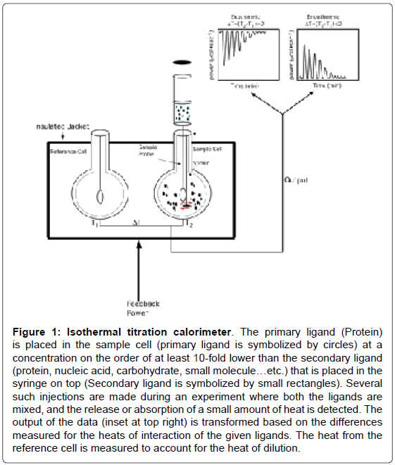 analytical-bioanalytical-techniques-primary-ligand-Protein