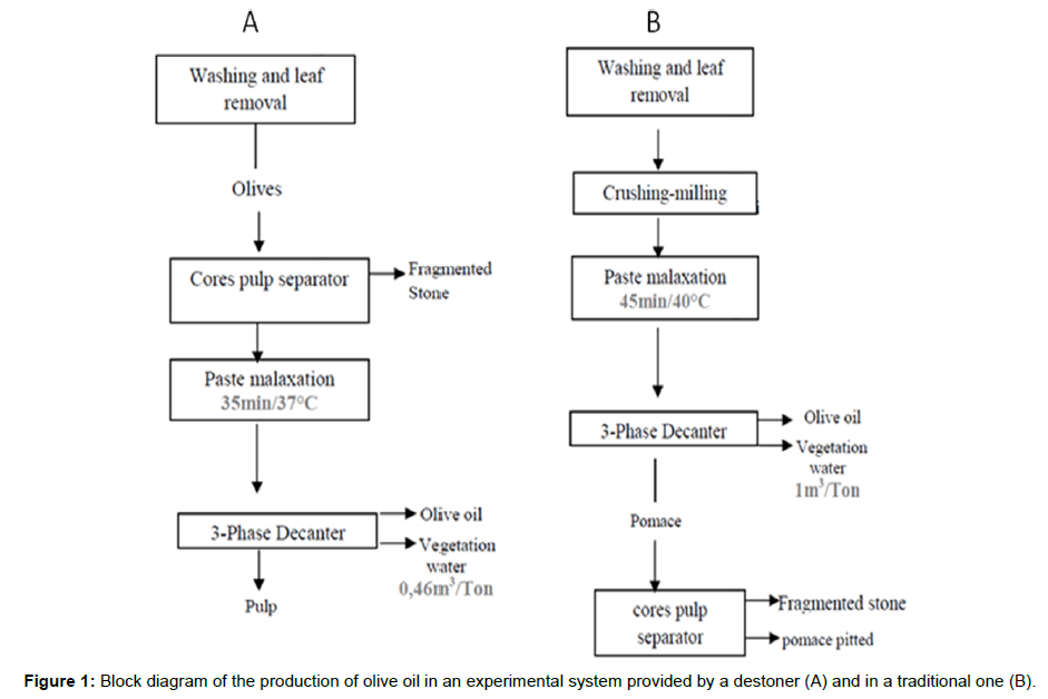 analytical-bioanalytical-techniques-production-olive-destoner