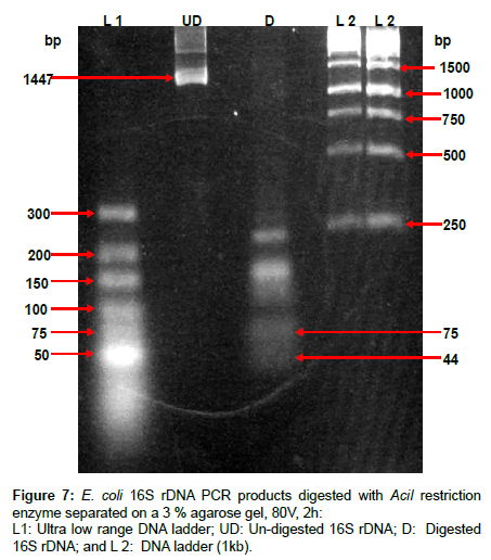 analytical-bioanalytical-techniques-products-digested