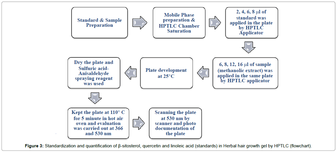 Herbal Hair Gel Formulation having 5andalpha;-Reductase Inhibitory Activity and its Standardization by HPTLC | OMICS International Herbal Hair Gel Formulation having 5andalpha;-Reductase Inhibitory Activity and its Standardization by HPTLC | OMICS International