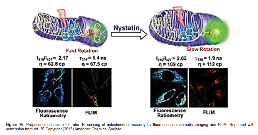 analytical-bioanalytical-techniques-ratiometry-imaging