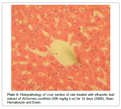 analytical-bioanalytical-techniques-rats-treated