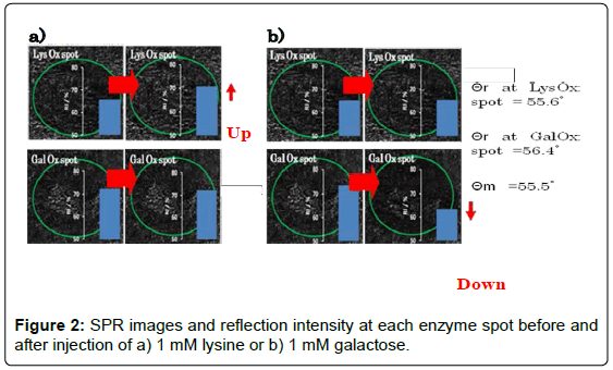 analytical-bioanalytical-techniques-reflection-intensity-enzyme