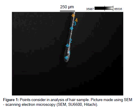 analytical-bioanalytical-techniques-scanning-electron
