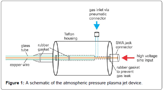analytical-bioanalytical-techniques-schematic-atmospheric-pressure