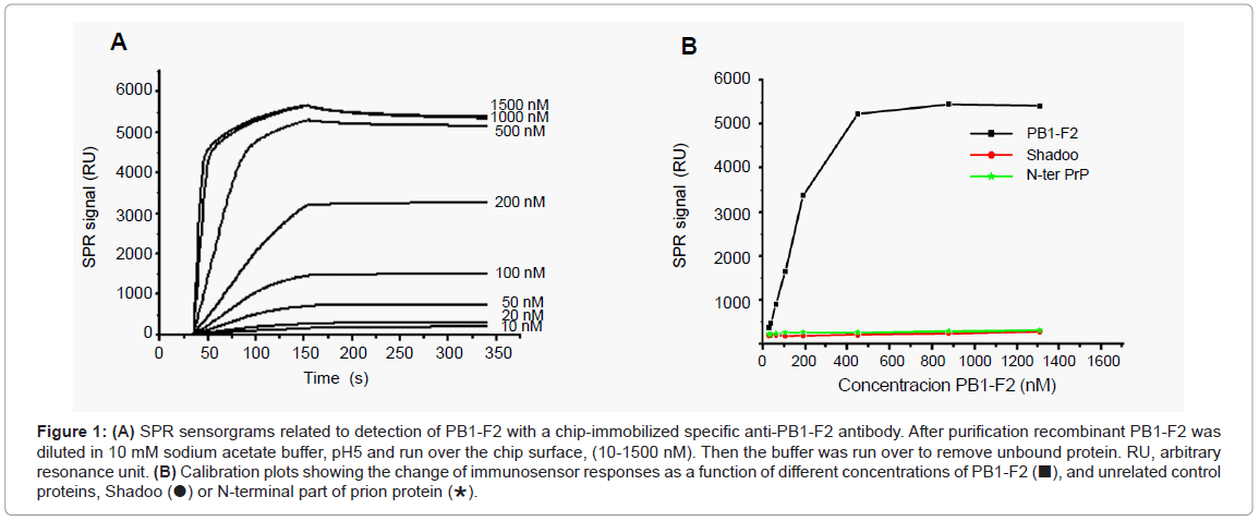 analytical-bioanalytical-techniques-sensorgrams-detection-immobilized
