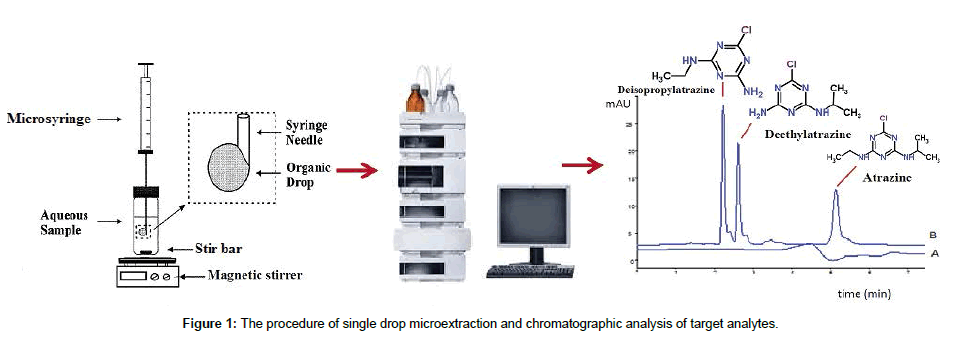 analytical-bioanalytical-techniques-single-drop-microextraction