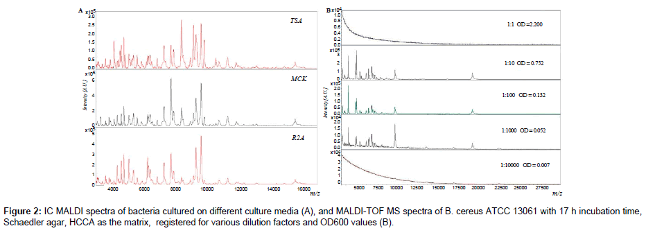 analytical-bioanalytical-techniques-spectra-bacteria