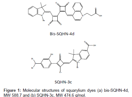 analytical-bioanalytical-techniques-squarylium-dyes