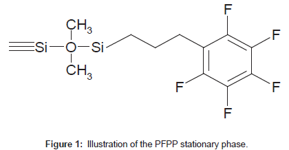 analytical-bioanalytical-techniques-stationary-phase