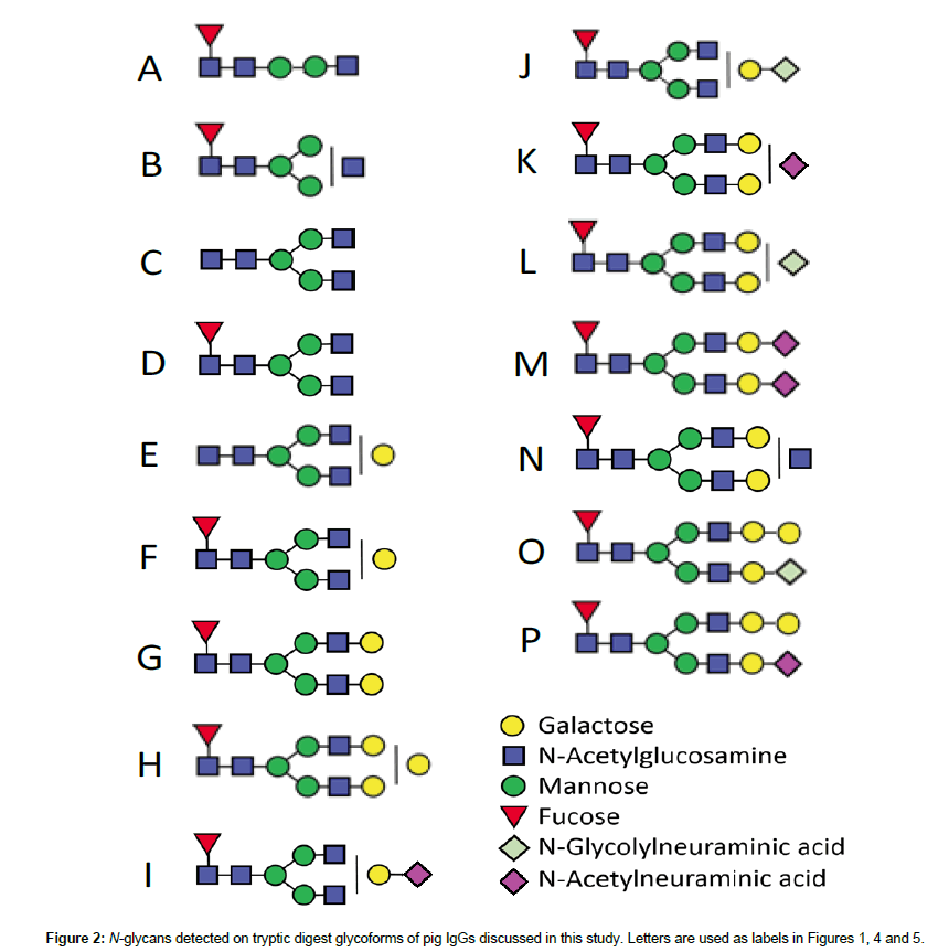 analytical-bioanalytical-techniques-tryptic-digest-glycoforms