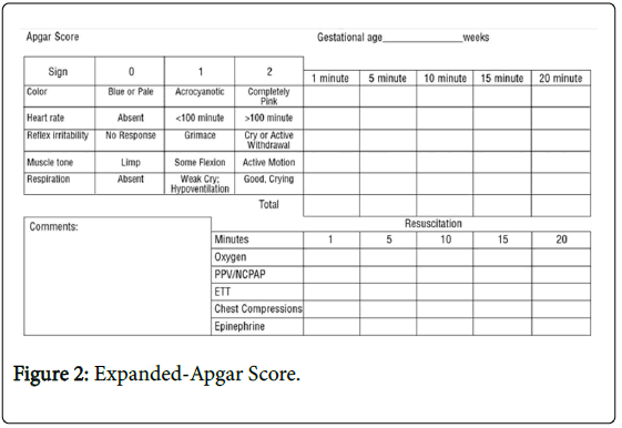 Apgar Score Chart Pdf