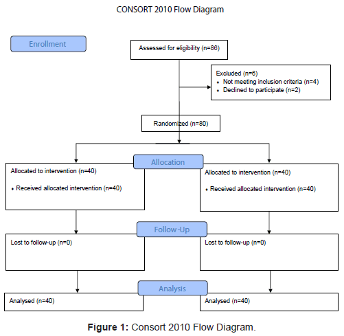 Consort Flow Chart Clinical Trials