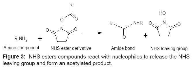 antivirals-antiretrovirals-nucleophiles