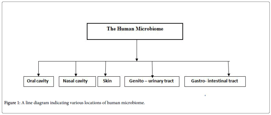 Role Of Microbes In Human Health Appliedmicrobiologyhumanmicrobiome Business Plan Assignment Help also Argumentative Essay Proposal Essay On Health Care Reform