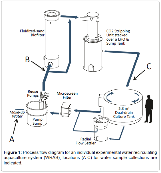 aquaculture-research-development-process-flow-diagram